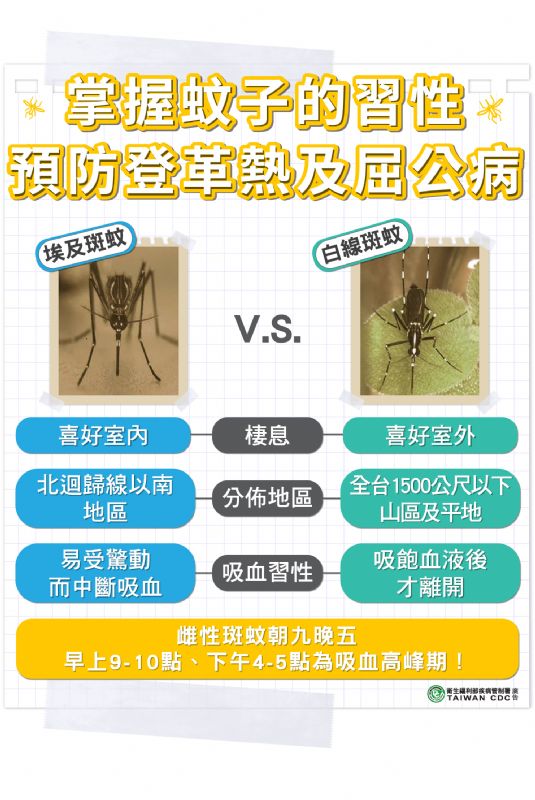 掌握蚊子的習性 預防登革熱及屈公病